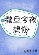 混沌神风流史