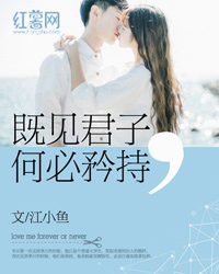 变形金刚5完整版免费观看