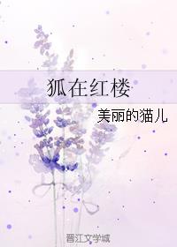 妻子的秘密免费版 小说