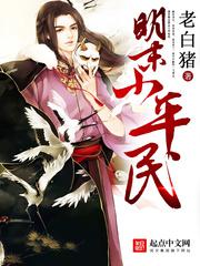 官场红尘笔记小说