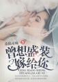 不顾一切的要了她