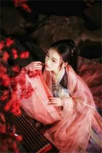 丝袜视频一区