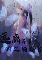 女人的天空 电视剧