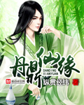 黄金矿工单人版中文版
