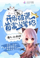 善良女秘书目的