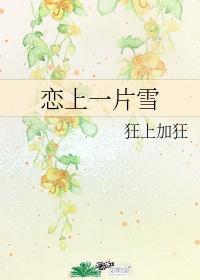 天天操美女
