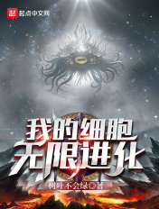 都市后宫艳妇全部阅读