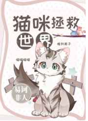 乡野小神医小说
