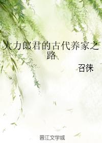 杂乱集合目录阅读