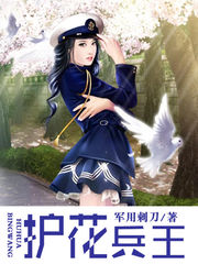 小说最佳女婿txt免费下