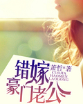 灿烂时光林岚小说免费阅读