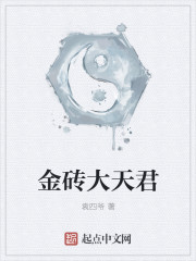 小说风月大陆