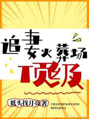 刘海瑞张慧警花张姐