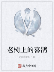 亚洲自拍欧美小说综合