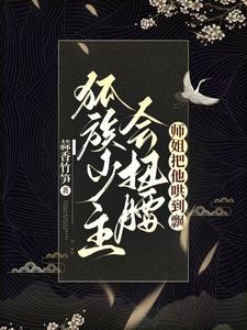 霸道总裁和我的365天