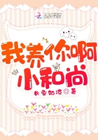 婚变 晨雾的光
