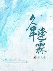 大象传媒网页在线版