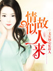 温柔的嫂子
