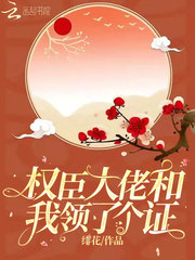 岳风柳萱小说