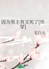 3344nn