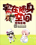 法国空姐在线观看