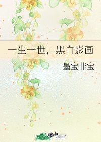重生之官场风流