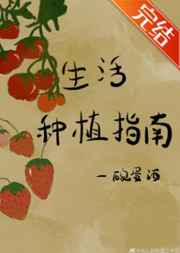 宋雁书陆渊《今生予你》小说免费阅读