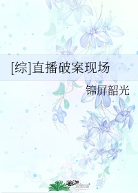 旋风少女3什么时候播出