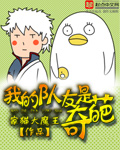 小马宝莉第四季