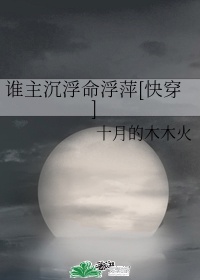 凤骚的儿妻妇小说