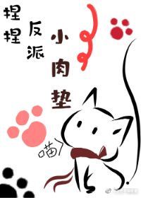 33电影网