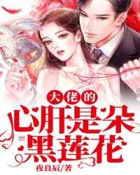 一级纯黄毛片红楼梦