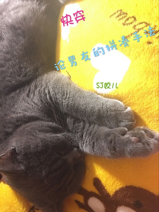 大王叫我来飙车作品集