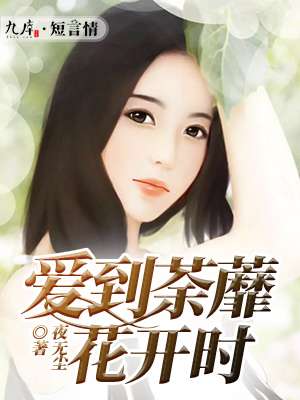 李宗瑞60集视频全集网址