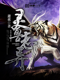 变形金刚霸天虎
