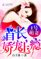 海贼王女帝邪恶acg