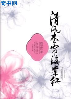 淫欲天麟小说
