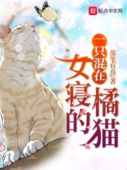 女忍1破碎的公主