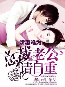 插入阴道小说