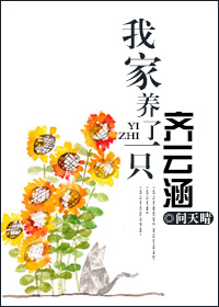实拍女子厕所嘘嘘视频