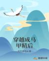 nds火焰纹章