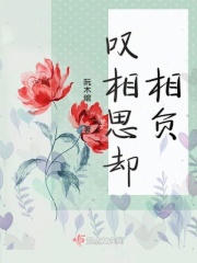 志愿填报表