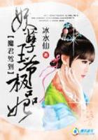 倚天屠龙记之魔教教主2