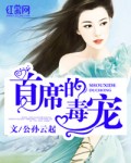 办公室浪荡女秘h文