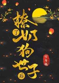 噼里啪啦免费视频看