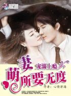 浮生印电视剧在线观看完整版免费