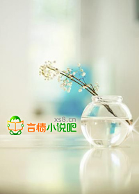天才风水师