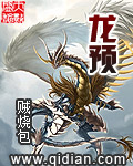 辽宁卫视在线观看高清