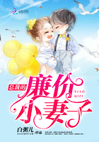 韩国电影妻子的情人