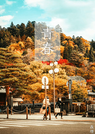 彼女彼女中文字幕版